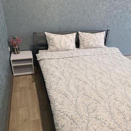 Две Уютные Квартиры В Центре Города Дзержинка - New Apartments Krivói Rog Exterior foto