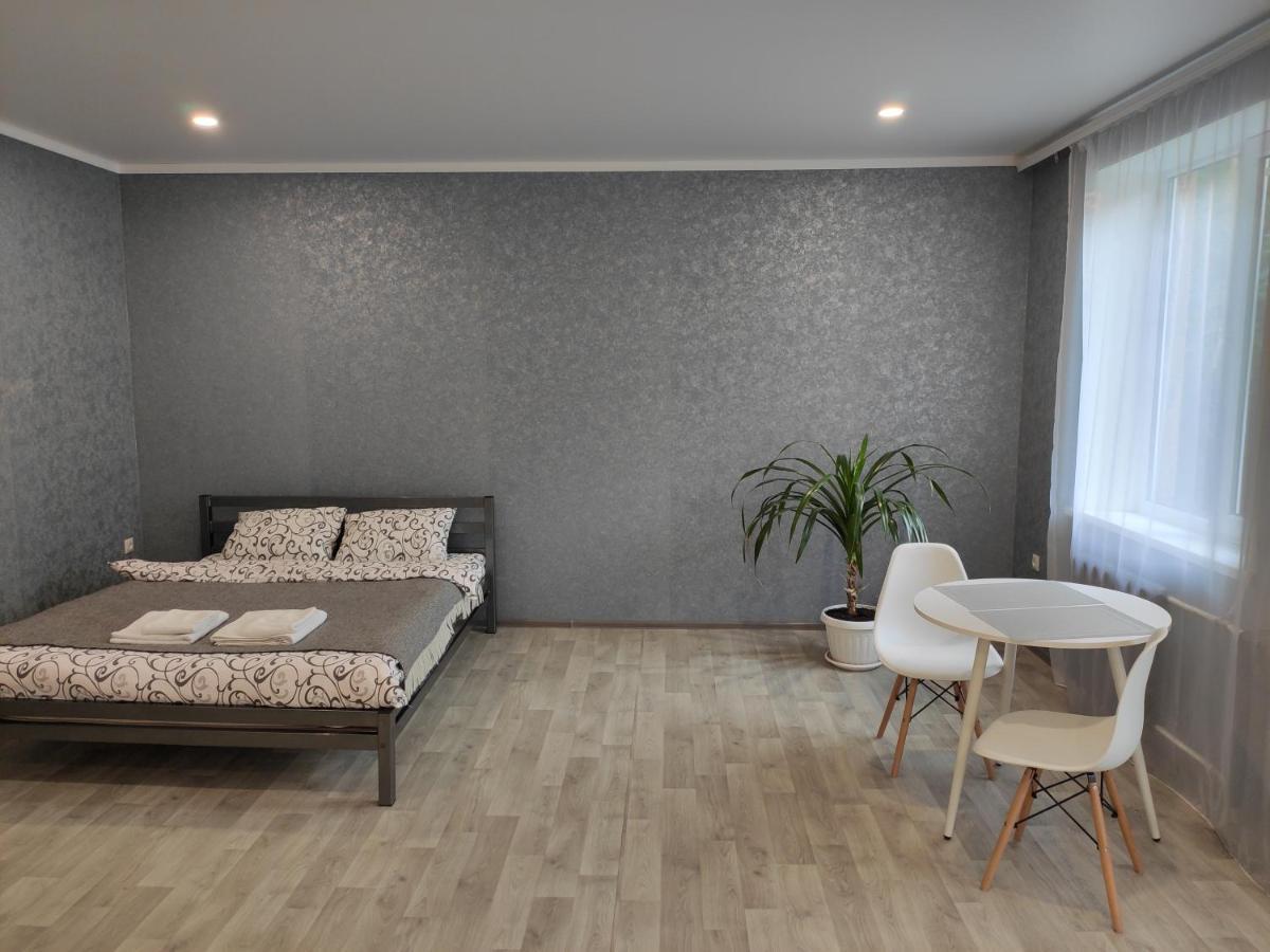 Две Уютные Квартиры В Центре Города Дзержинка - New Apartments Krivói Rog Exterior foto